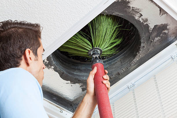 Air Duct Mold Removal in Potterville, MI